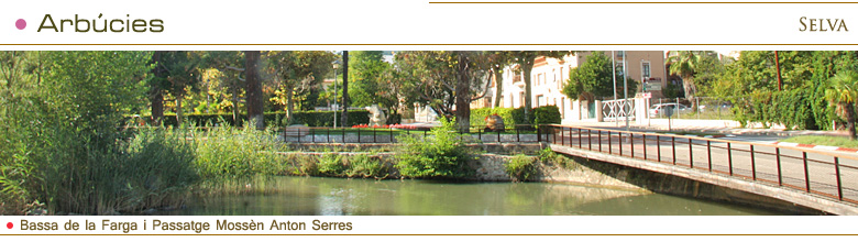 Arbúcies